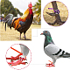 Chgcraft 100 шт. 4-дюймовые красочные ленты для ног курицы и птицы DIY-CA0004-95-4