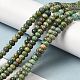 Chapelets de perles en turquoise naturelle G-P506-03C-01-2