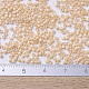 Perles miyuki delica X-SEED-J020-DB0205-4