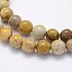 Natural Fossil Coral Beads Strands G-G697-F01-6mm-3