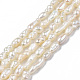 Natural Cultured Freshwater Pearl Beads Strands PEAR-N012-02F-3