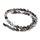 Natural Indian Agate Beads Strands G-Z006-A19-3