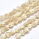Chapelets de perles en coquille SSHEL-P015-01B-10mm-1