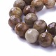 Chapelets de perles en bois pétrifié naturel G-P430-16-D-3