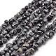 Natural Snowflake Obsidian Beads Strands G-F465-30-1