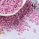 Perles de rocaille en verre&nbsp;X-SEED-S042-15A-04-1