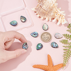 8 Stück natürliche Abalone-Muschel/Paua-Muschelperlen&nbsp;SHEL-HY0001-18