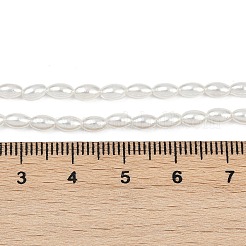 Galvanisierte Muschelperlenstränge&nbsp;BSHE-Z009-10B