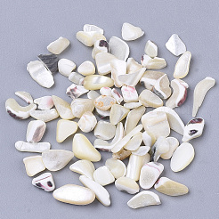 Perle di conchiglia&nbsp;X-SSHEL-S258-70
