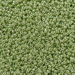Perles rocailles miyuki rondes&nbsp;LS-X-SEED-G007-RR0439