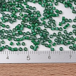 Miyuki Delica Perlen&nbsp;SEED-MY11-DB1788
