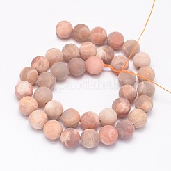Runde natürliche sunstone Perlen Stränge&nbsp;G-K068-29-10mm