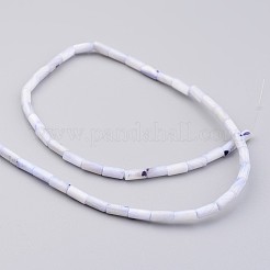 Conchiglia naturale fili di perle&nbsp;BSHE-P016-04