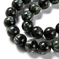 Perles naturelles SERAPHINITE brins&nbsp;G-E557-22C