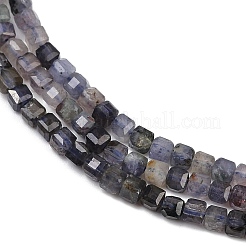 Perline iolite naturale fili&nbsp;G-RM2025-C33-B