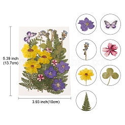 Fleurs séchées pressées&nbsp;DIY-YWC0001-97