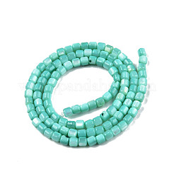 Natürlichen Süßwasser-Muschelperlen Stränge&nbsp;SHEL-N003-33-A04