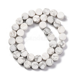 Natürliche Howlith Perlen Stränge&nbsp;G-C159-B01-01