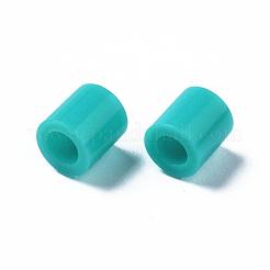 Pe Bügelperlen&nbsp;DIY-R013-88