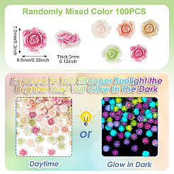 100 Stück leuchtende Decoden-Cabochons aus Harz&nbsp;RESI-TA0005-30