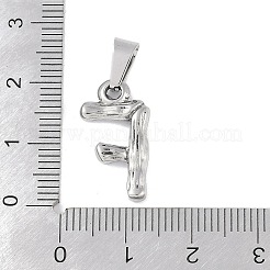 Colgantes de acero inoxidable 304 que no se deslustran&nbsp;STAS-F235-01P-F