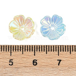 Acrylique coupelles&nbsp;MACR-L008-04