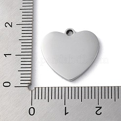 Pendentifs en acier inoxydable 304 anti-ternissement&nbsp;LS-STAS-D025-01P-02