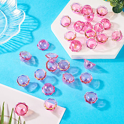 30 capuchon de perles en acrylique plaqué UV.&nbsp;PACR-TA0001-20A