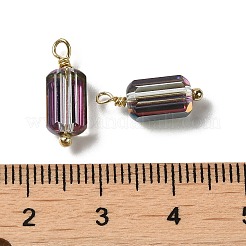 Halbplattierte Glasanhänger&nbsp;KK-P242-23G-02