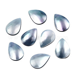 Natürliche Turbo Cornulus/Top Shell Cabochons&nbsp;SSHEL-N003-157A