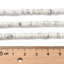 Natürliche Howlith Perlen Stränge&nbsp;G-Z110-A29-2x4mm