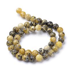 Fili di perle naturali di turchese giallo (diaspro)&nbsp;G-R345-6mm-44