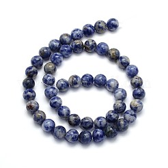 Fili di perle rotonde di diaspro blu naturale&nbsp;G-O047-01-10mm