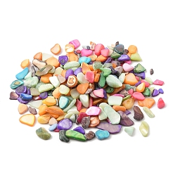 50 g gefärbte natürliche Süßwasser-Muschel-Chip-Perlen&nbsp;BSHE-YW0001-04