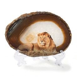 Ornamento in pietra a fetta di agata naturale stampata&nbsp;DJEW-M011-04E