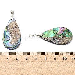 Natur Paua Muschel Anhänger&nbsp;PALLOY-JF05908