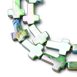 Naturali di acqua dolce perline shell fili&nbsp;SHEL-K006-02B