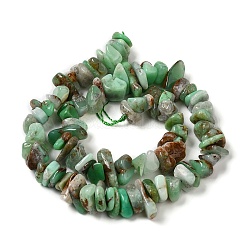 Fili di perline di crisoprasio naturale&nbsp;G-G0004-D01-B