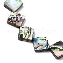 Natur Paua Muschel Perlen Stränge&nbsp;BSHE-ZX006-08B