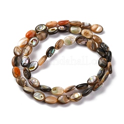 Natur Paua Muschel Perlen Stränge&nbsp;BSHE-B007-06