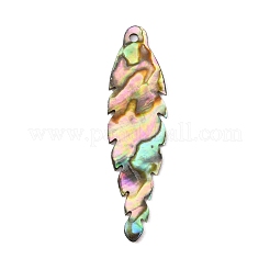 Pendentifs en paua naturel&nbsp;SSHEL-WH0003-02