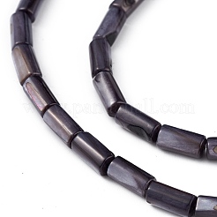 Brins de perles d'eau douce naturelles teints en coquille&nbsp;SHEL-M018-11-09