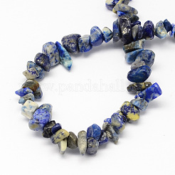 Natürliche Lapislazuli Steinperle Stränge&nbsp;X-G-R192-13