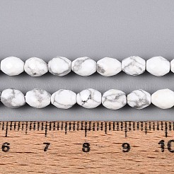 Natürliche Howlith Perlen Stränge&nbsp;G-T142-79