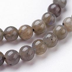 Chapelets de perles en labradorite naturelle&nbsp;G-J352-01-6mm