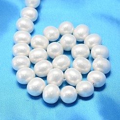 Ovalen Muschelkernperlen Perlenstränge&nbsp;BSHE-L013-L-A013A