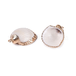 Colgantes de conchas marinas naturales con adornos de latón dorado galvanizado&nbsp;SSHEL-N042-30