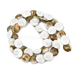 Natürliche Shiva-Auge-Muschelperlenstränge&nbsp;SHEL-G021-01A