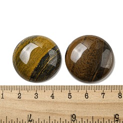 Natürliche Tigereisen-Cabochons&nbsp;G-C115-02B-34