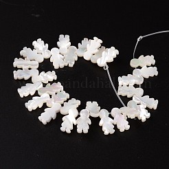 Shell perle naturali&nbsp;BSHE-O015-13